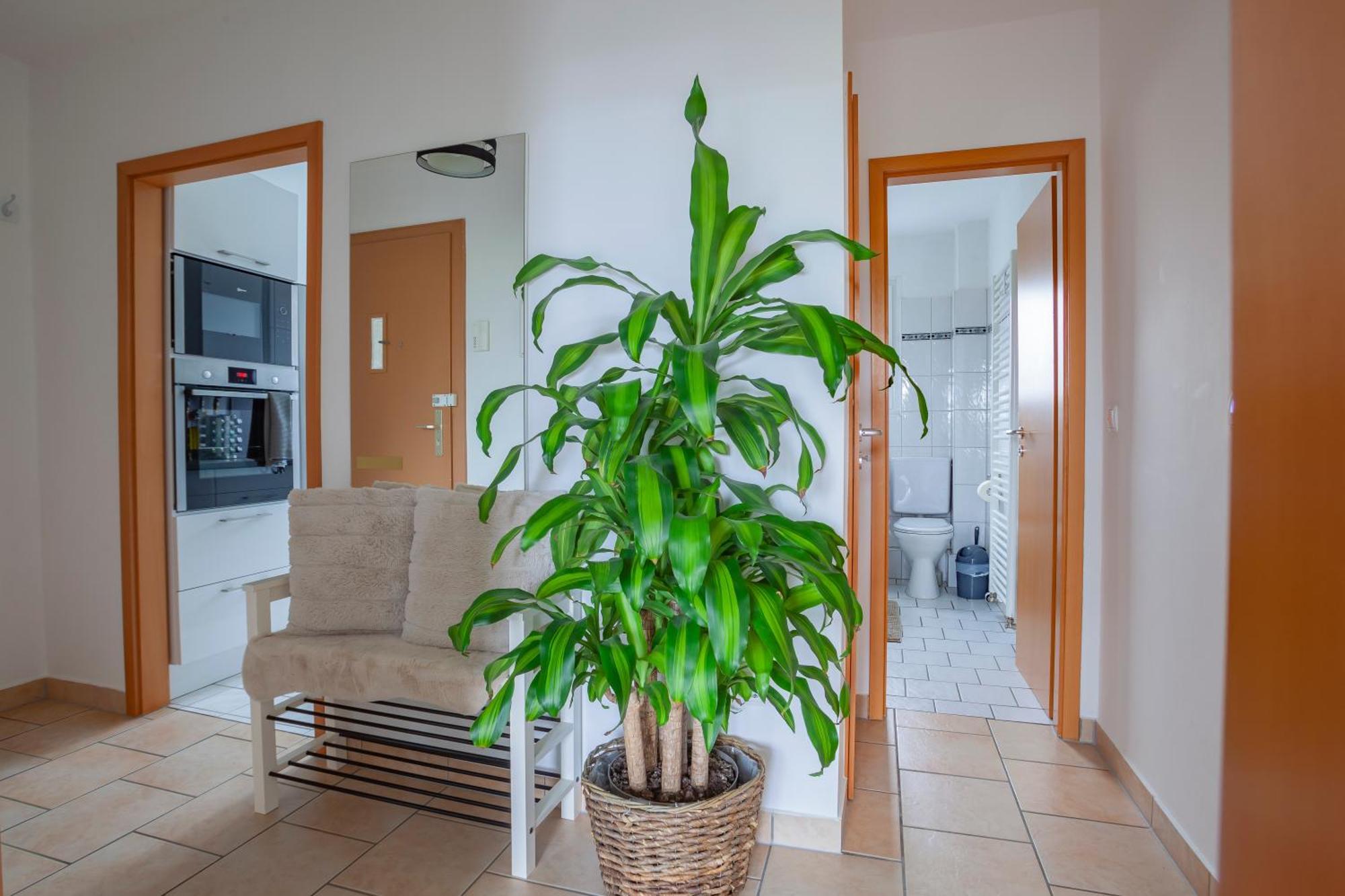 Exclusive 2-Room-City-Apartment - Contactless Check-In Ганновер Экстерьер фото